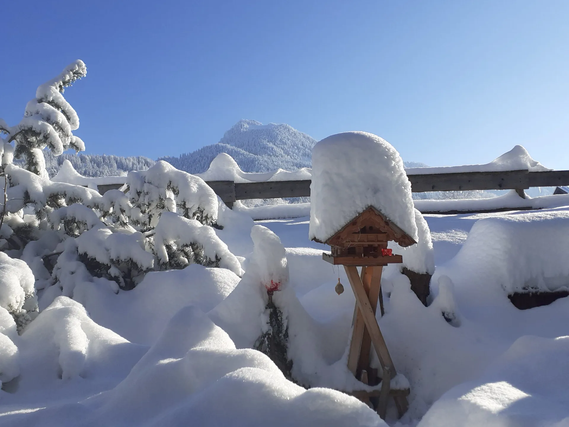 Verschneite Winterlandschaft am Hof